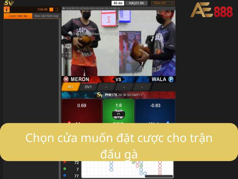 Tiến hành đặt cược Tiến hành đặt cược