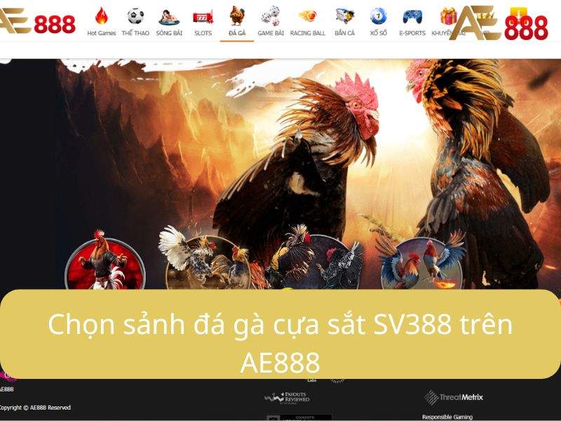 Truy cập sảnh đá gà AE888 Truy cập sảnh đá gà AE888