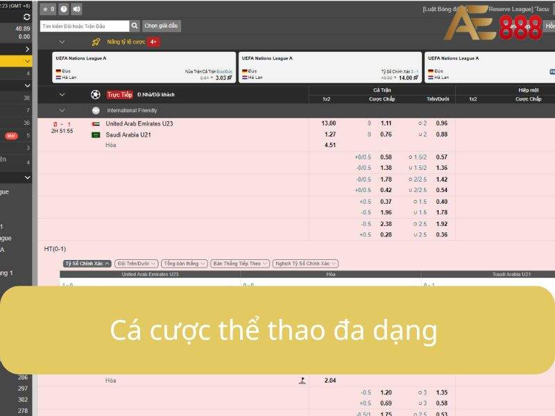 Đa dạng các trò chơi thể thao hấp dẫn Đa dạng các trò chơi thể thao hấp dẫn
