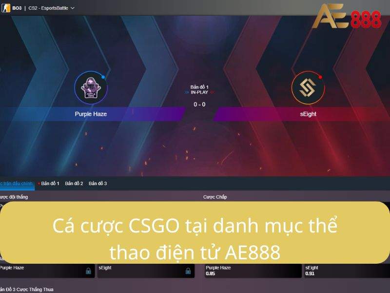 Cá cược CSGO tại danh mục thể thao điện tử AE888
