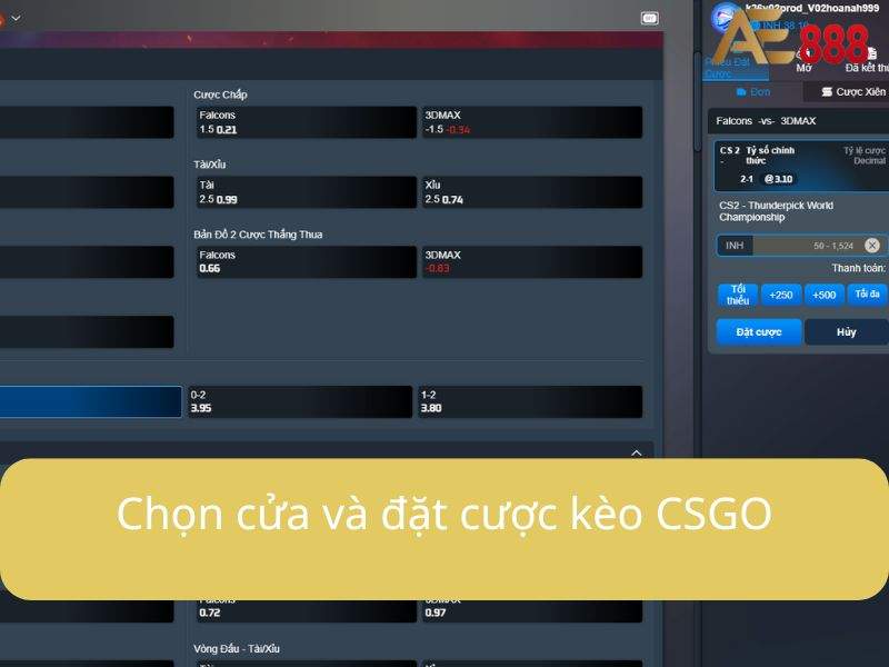 Tiến hành đặt cược trận đấu Tiến hành đặt cược trận đấu