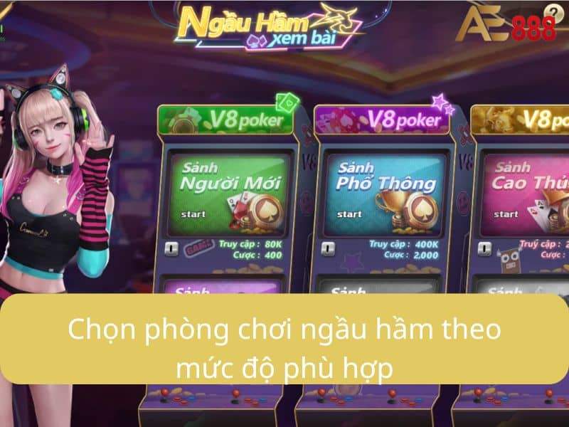 Chọn phòng chơi ngầu hầm theo mức cược phù hợp Chọn phòng chơi ngầu hầm theo mức cược phù hợp