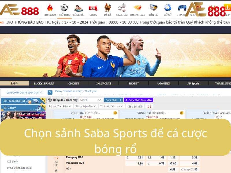 Chọn sảnh Saba Sports để cá cược bóng rổ Chọn sảnh Saba Sports để cá cược bóng rổ