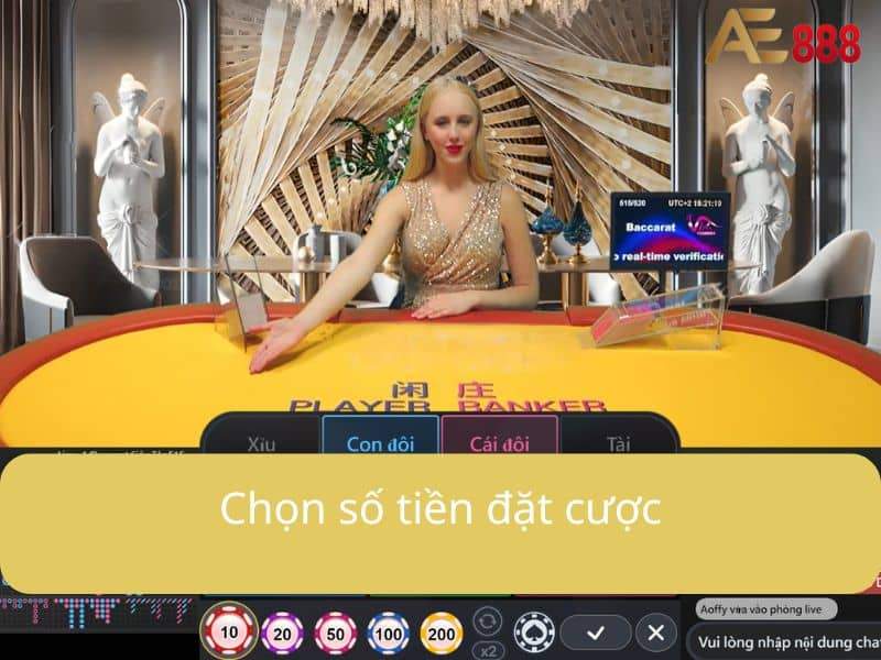 Chọn số tiền đặt cược Chọn số tiền đặt cược
