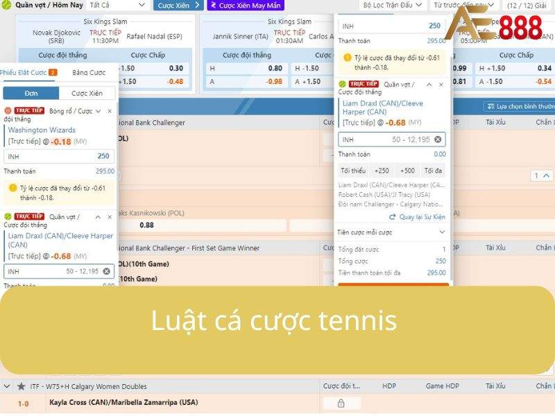 Luật chơi cá cược tennis tại AE888 Luật chơi cá cược tennis tại AE888